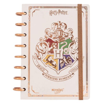 CUADERNO MOOVING LOOP A DISCOS A5 HARRY POTTER   1721222
