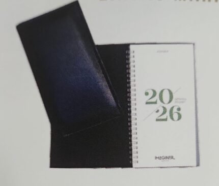 AGENDA 2027 IMAGINER POCKET S.VISTA ESPIRAL ECO CUERO EJECUTIVA LISA 6020